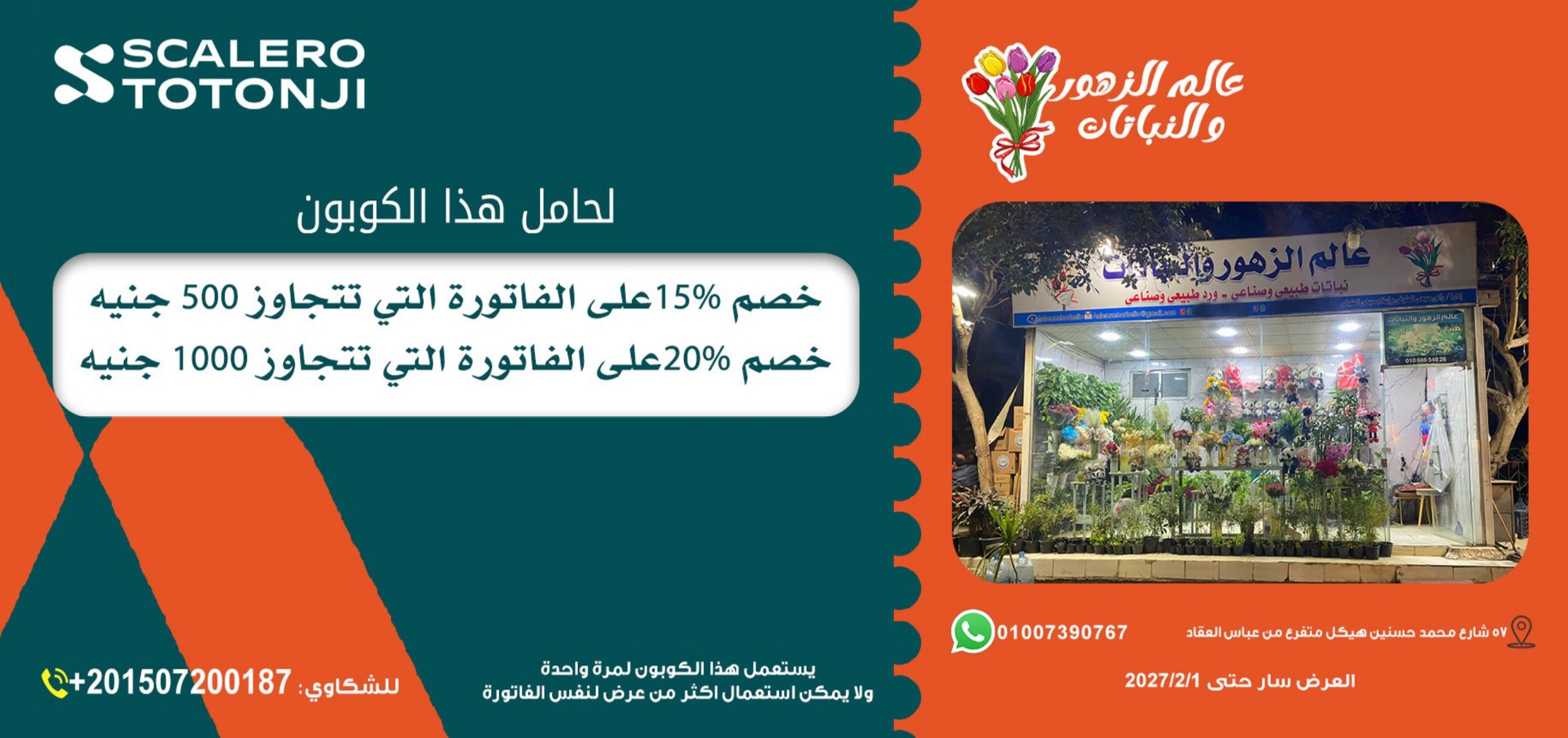 كوبون سكاليرو توتونجى